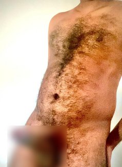 Ladies Massage Salon & Cuckold - Male escort in Colombo Photo 2 of 5
