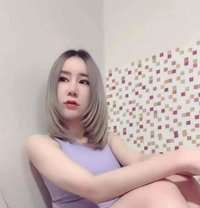 Cuian - escort in Cairo
