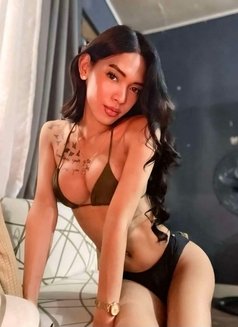 Asian Baby Girl Young Nicole - Transsexual escort in Kuala Lumpur Photo 20 of 26