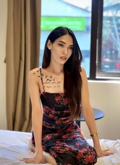 Cum In Mouth Ass Rimming Nicole - Transsexual escort in Kuala Lumpur Photo 29 of 29
