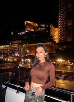 Cum like a Fountain Patong - Acompañantes transexual in Phuket Photo 12 of 13