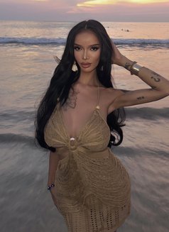 CUM RELOADER TS - Transsexual escort in Phuket Photo 29 of 29
