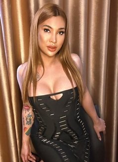 Cum With Me Dear(Versatile)Just Landed - Acompañantes transexual in Ho Chi Minh City Photo 23 of 30