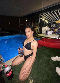 Cumshow #1 Ass Eater/Rimmer “Alison”🇵🇭 - Transsexual escort in Dubai Photo 21 of 22