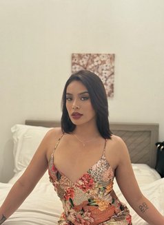 Cumshow #1 Ass Eater/Rimmer “Alison”🇵🇭 - Transsexual escort in Dubai Photo 22 of 22