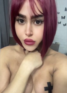 misstress annabelle - Transsexual escort in Beirut Photo 16 of 25