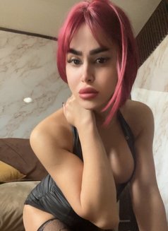 misstress annabelle - Transsexual escort in Beirut Photo 20 of 25