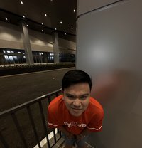 Cunty Shawnty - Transsexual escort in Cebu City