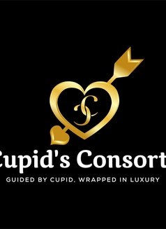 Cupid's Consorts - Male escort in Cape Town Photo 1 of 1