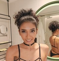 Curly - Transsexual escort in Bangkok Photo 30 of 30