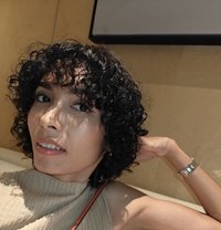 Curly - Transsexual escort in Bangkok