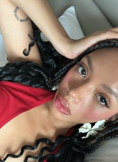 Curly “Verified Model” in Penang - escort in Georgetown, Penang Photo 5 of 6