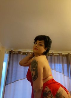 Curvy Tattooed Bella - escort in Glasgow Photo 20 of 25