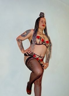 Curvy Tattooed Bella - escort in Glasgow Photo 7 of 14