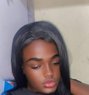 Curvy Vixen - Transsexual escort in Nairobi Photo 1 of 1