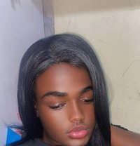 Curvy Vixen - Transsexual escort in Nairobi