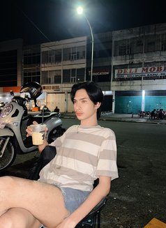 cute boy - Male escort in Medan Photo 6 of 6