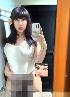 Cute Boy Patong #VVIP BOTH 🦮 - Acompañantes transexual in Phuket Photo 17 of 17