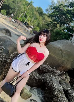 Cute Boy Patong #VVIP BOTH 🦮 - Transsexual escort in Phuket Photo 12 of 12