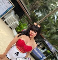 YOUNG 22 Y New Phuket #VVIP BOTH 🦮 - Acompañantes transexual in Phuket