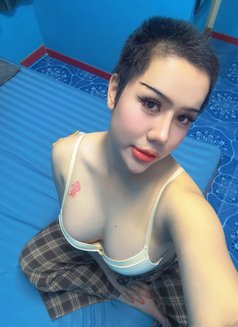 Cute Boy TH (mistress,both) 🦮 - Transsexual escort in Phuket Photo 11 of 11