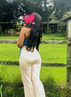 Cute Girl Amee visit and Cam - escort in Colombo Photo 3 of 5