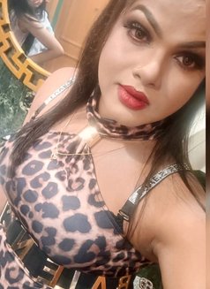 Cute Guddi - Acompañantes transexual in New Delhi Photo 4 of 11