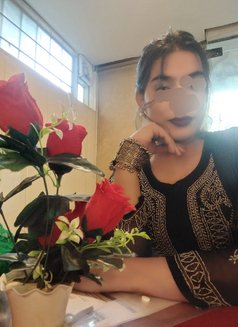 Cute Kanika Rawat Top Shemale - Transsexual escort in Noida Photo 22 of 22