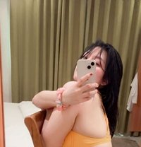 Cute mia - escort in Dubai