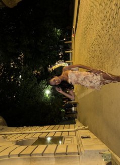 Cute party TS new in bali - Transsexual escort in Bali Photo 11 of 15