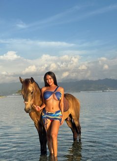 Cute With HARD DICK - Acompañantes transexual in Bali Photo 29 of 30