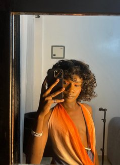 Cutecat - Transsexual escort in Nairobi Photo 2 of 4