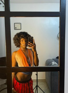 Cutecat - Transsexual escort in Nairobi Photo 3 of 4