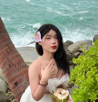 Cutest Layboy Bkk 🇹🇭 - Transsexual escort in Bangkok