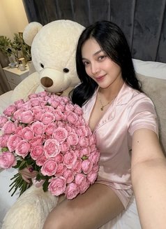 Cutie Allyson in Manila - Transsexual escort in Manila Photo 20 of 21