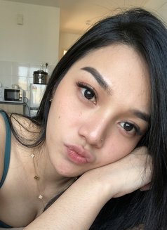 Cutie Allyson in Manila - Acompañantes transexual in Manila Photo 15 of 15