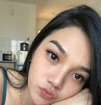 Cutie Allyson in Manila - Transsexual escort in Manila