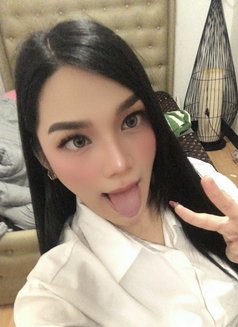 Cutie Allyson in Manila - Transsexual escort in Manila Photo 16 of 16