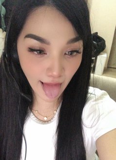 Cutie Allyson in Manila - Transsexual escort in Manila Photo 1 of 20