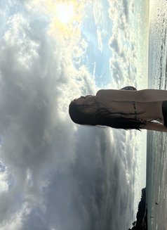 Cutie Halfie Rina - escort in Bangkok Photo 3 of 8