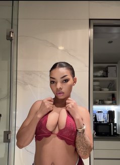 Cutie - escort in Dubai Photo 1 of 3
