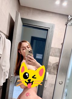 Cutie Sweet_Trans - Transsexual escort in Tbilisi Photo 15 of 15