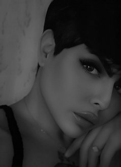 Cutie شامية - Acompañantes transexual in Dubai Photo 1 of 9