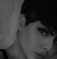 Cutie شامية - Transsexual escort in Dubai