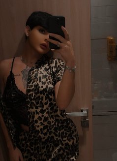 Cutie عربيه - Acompañantes transexual in Dubai Photo 5 of 8