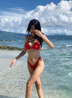 Cutienicss - Acompañantes transexual in Manila Photo 1 of 11