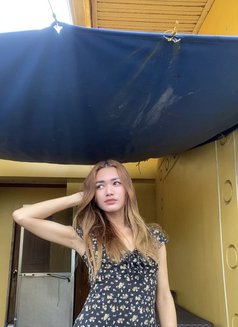Cycy - Transsexual escort in Manila Photo 4 of 20