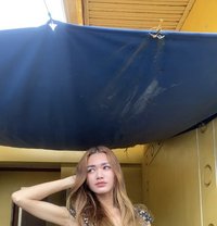 Cycy - Transsexual escort in Manila