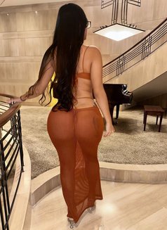 Cyndi - escort in Trondheim Photo 7 of 11