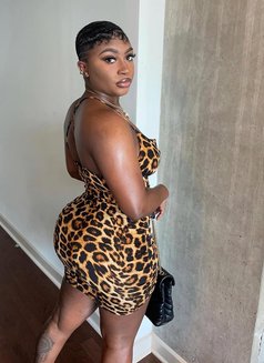 Cynthia - escort in Erbil Photo 5 of 6